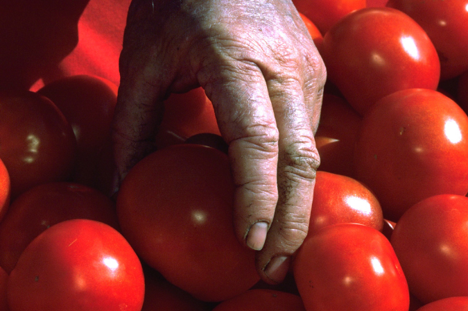06-hand_tomatoes